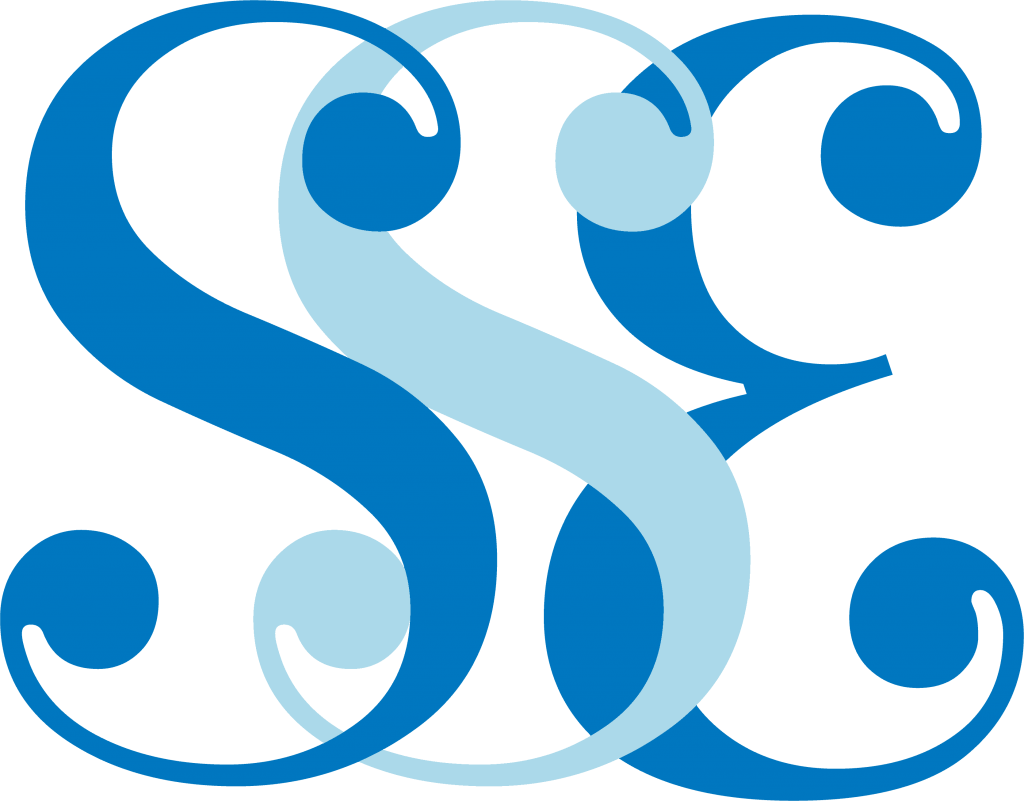 SkyShine Enterprises Logo