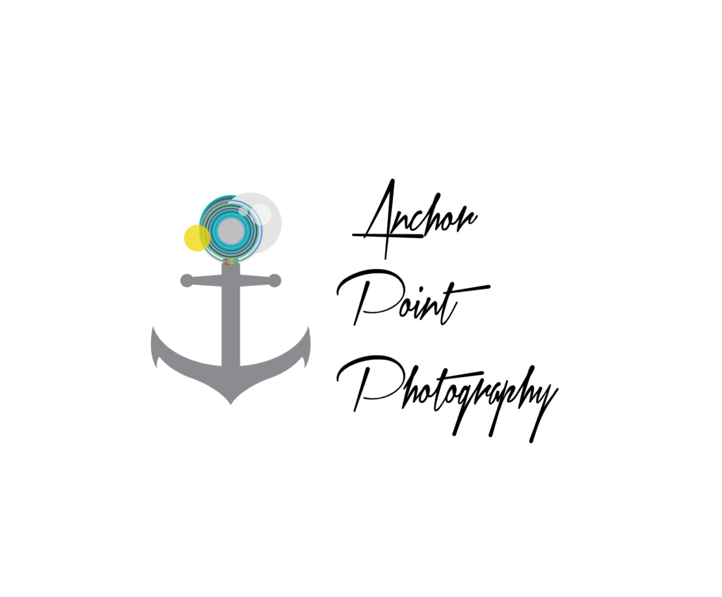 Anchor Point Logo Alternative