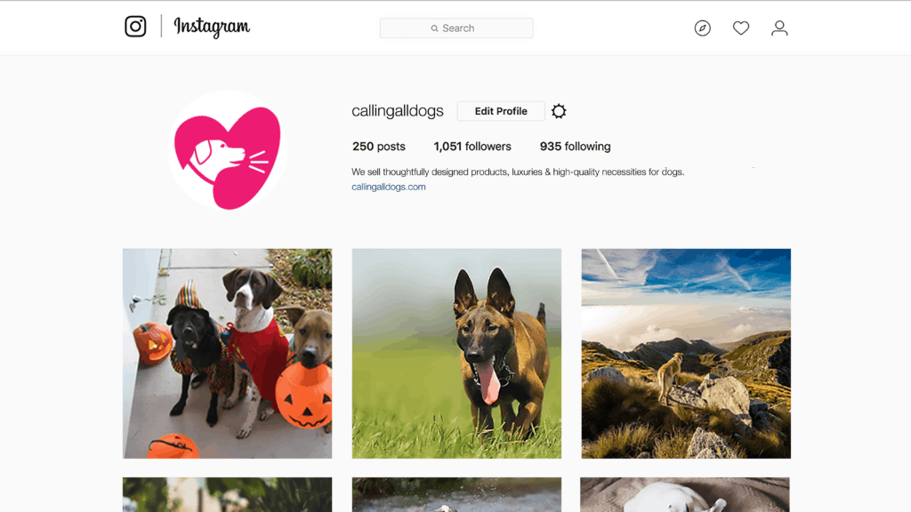 Calling All Dogs Instagram Mockup